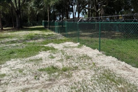 Land in Clewiston, Florida № 1839400 - photo 22
