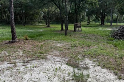 Land in Clewiston, Florida № 1839400 - photo 29