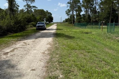 Land in Clewiston, Florida № 1839400 - photo 12