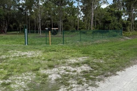 Land in Clewiston, Florida № 1839400 - photo 3