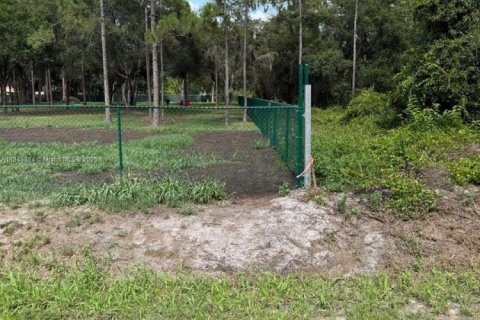 Land in Clewiston, Florida № 1839400 - photo 2