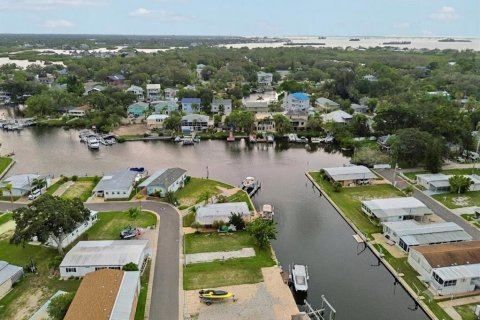 Land in Palm Harbor, Florida № 2275695 - photo 10