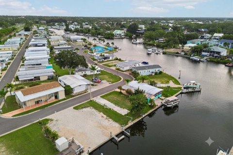 Land in Palm Harbor, Florida № 2275695 - photo 6