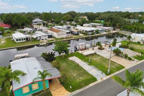 Land in Palm Harbor, Florida № 2275695 - photo 15