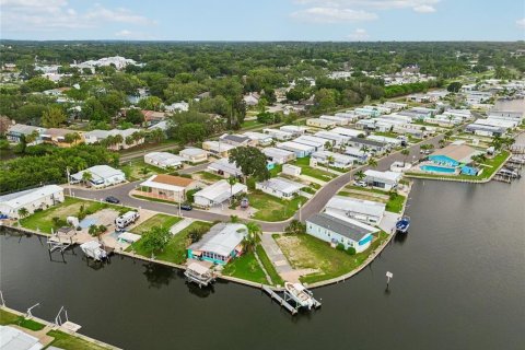 Land in Palm Harbor, Florida № 2275695 - photo 20