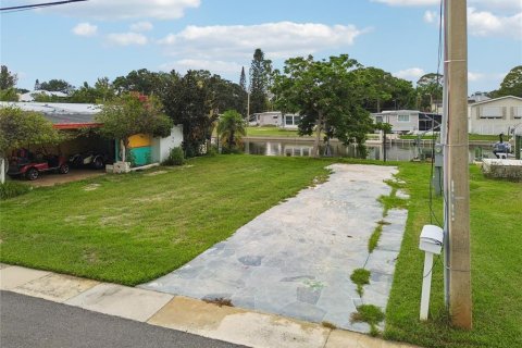 Land in Palm Harbor, Florida № 2275695 - photo 25
