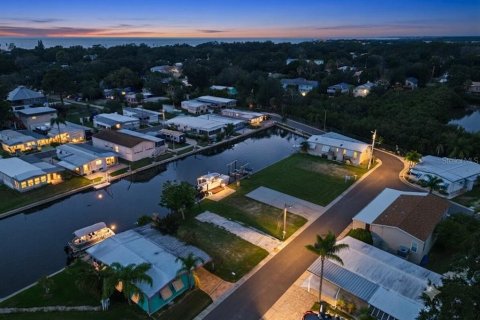 Land in Palm Harbor, Florida № 2275695 - photo 8