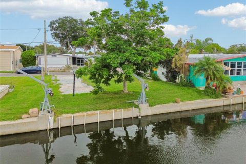 Land in Palm Harbor, Florida № 2275695 - photo 23