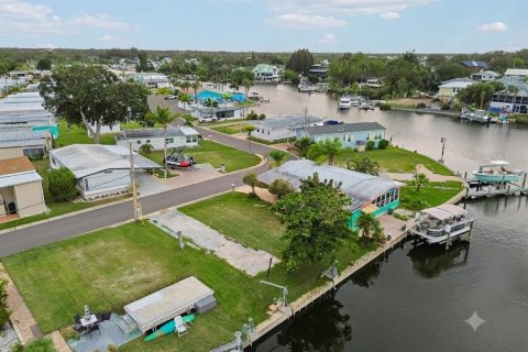 Land in Palm Harbor, Florida № 2275695 - photo 13