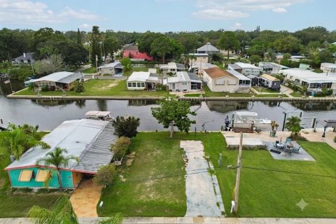 Land in Palm Harbor, Florida № 2275695 - photo 14