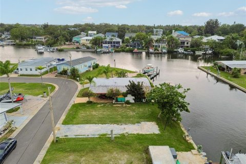 Land in Palm Harbor, Florida № 2275695 - photo 21