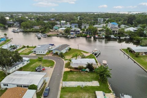 Land in Palm Harbor, Florida № 2275695 - photo 19