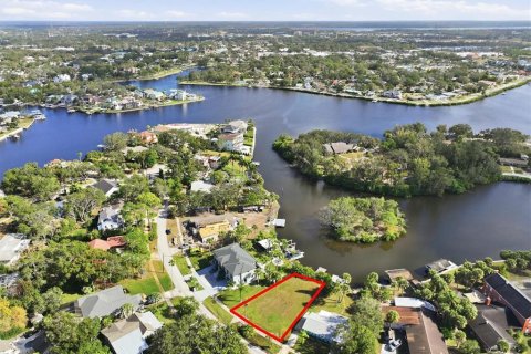 Terrain à Tarpon Springs, Floride № 2108963