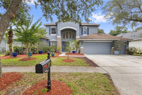 House in Tampa, Florida 5 bedrooms, 325.16 sq.m. № 2284260