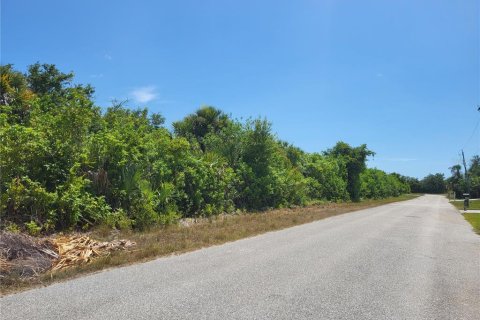 Land in Port Charlotte, Florida № 2381185 - photo 3