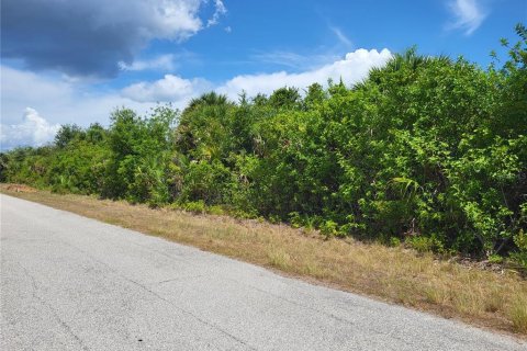 Land in Port Charlotte, Florida № 2381185 - photo 5