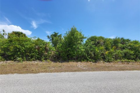 Land in Port Charlotte, Florida № 2381185 - photo 4