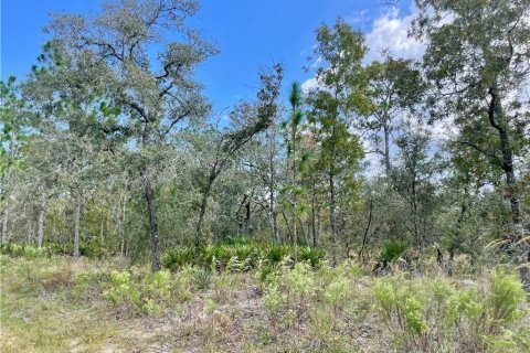 Terrain à vendre à Dunnellon, Floride № 2224474 - photo 7