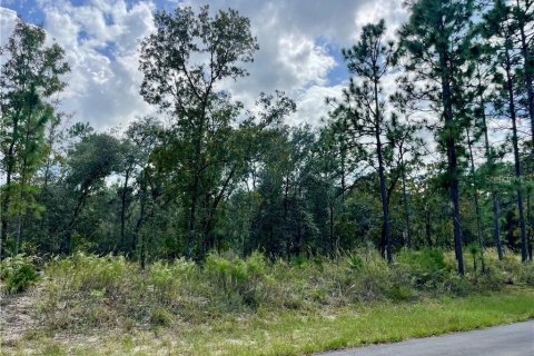 Terrain à vendre à Dunnellon, Floride № 2224474 - photo 5