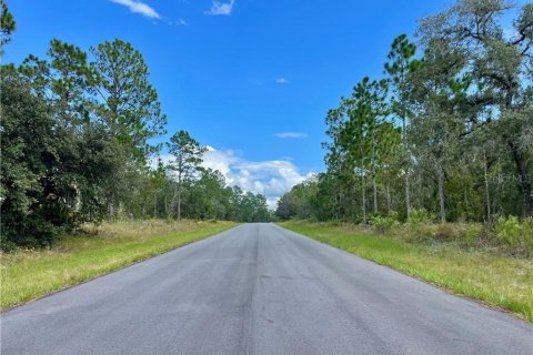 Terrain à vendre à Dunnellon, Floride № 2224474 - photo 3