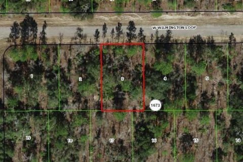 Terrain à Dunnellon, Floride № 2224474