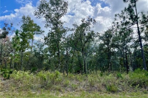 Terrain à vendre à Dunnellon, Floride № 2224474 - photo 4