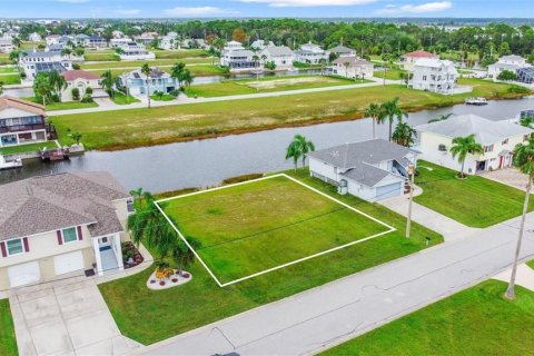 Land in Hernando Beach, Florida № 2279976