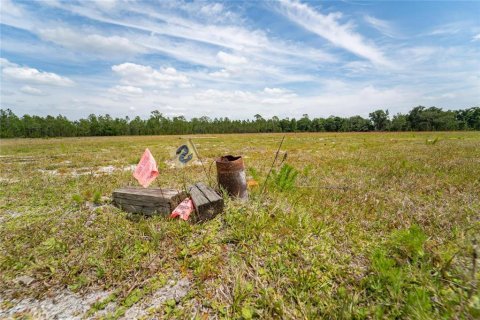 Commercial property in Polk City, Florida № 1742780 - photo 30