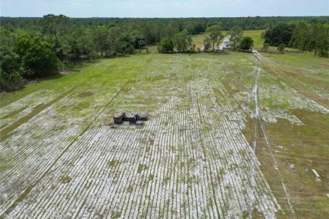 Commercial property in Polk City, Florida № 1742780 - photo 29