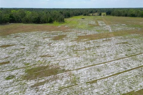 Commercial property in Polk City, Florida № 1742780 - photo 28
