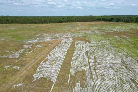 Commercial property in Polk City, Florida № 1742780 - photo 24