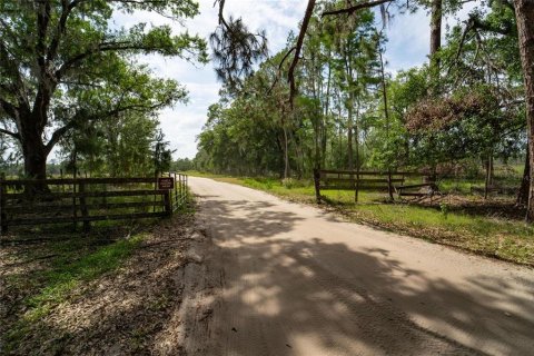 Commercial property in Polk City, Florida № 1742780 - photo 2