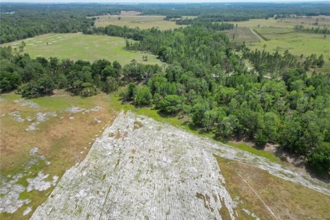 Commercial property in Polk City, Florida № 1742780 - photo 9