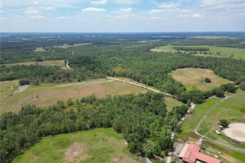 Commercial property in Polk City, Florida № 1742780 - photo 16