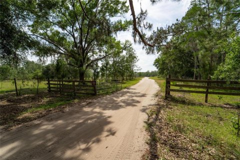 Commercial property in Polk City, Florida № 1742780 - photo 3