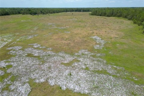 Commercial property in Polk City, Florida № 1742780 - photo 27
