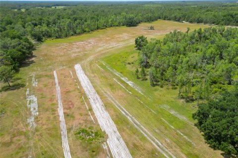 Commercial property in Polk City, Florida № 1742780 - photo 23