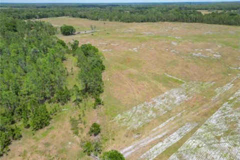 Commercial property in Polk City, Florida № 1742780 - photo 22