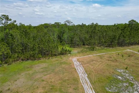 Commercial property in Polk City, Florida № 1742780 - photo 25