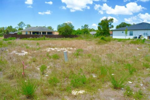 Terreno en venta en Lehigh Acres, Florida № 2096062 - foto 14