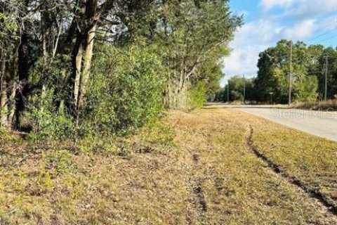 Land in Ocklawaha, Florida № 2160195