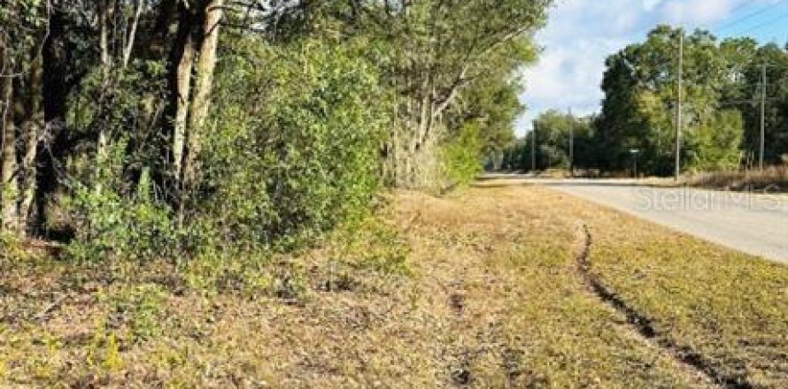 Land in Ocklawaha, Florida № 2160195