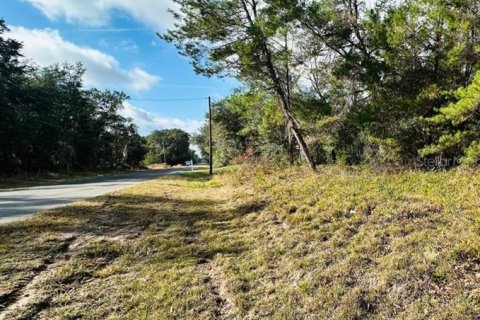 Land in Ocklawaha, Florida № 2160195 - photo 2