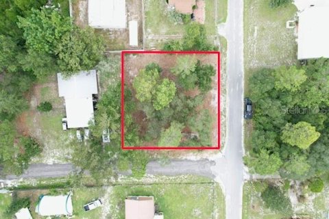 Land in Paisley, Florida № 2386246 - photo 10