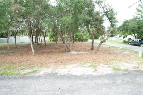 Land in Paisley, Florida № 2386246