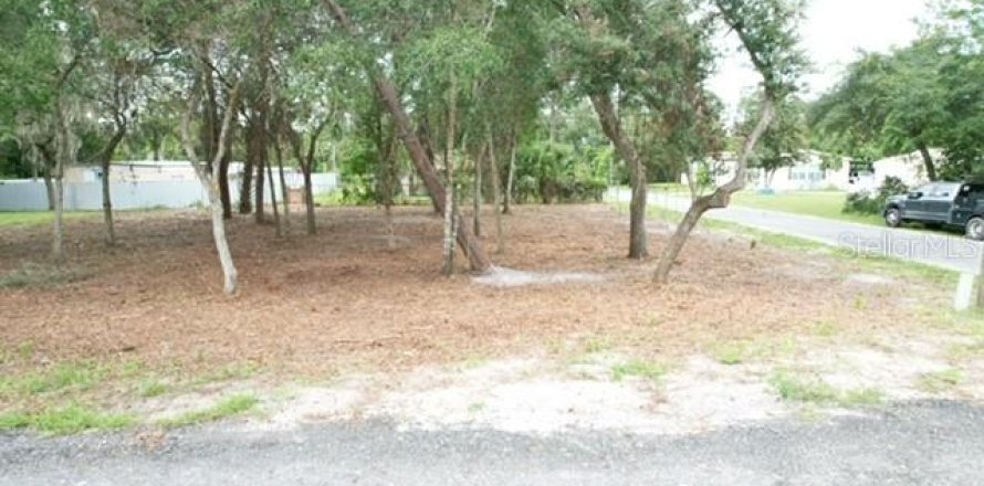 Land in Paisley, Florida № 2386246