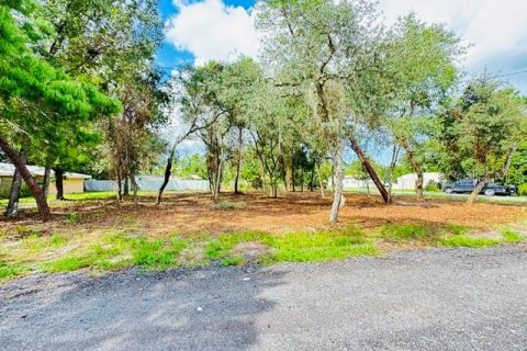Land in Paisley, Florida № 2386246 - photo 2