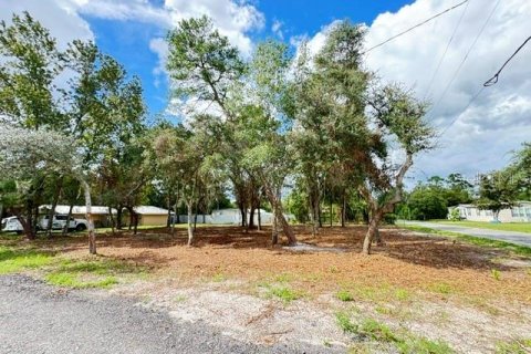 Land in Paisley, Florida № 2386246 - photo 4