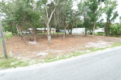 Land in Paisley, Florida № 2386246 - photo 8