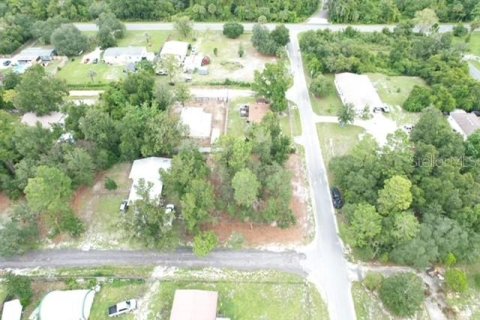 Land in Paisley, Florida № 2386246 - photo 6